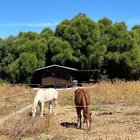 Cabana Rustica En Un Rancho Con Caballos, Prado Del Rey, Andalucia Экстерьер фото