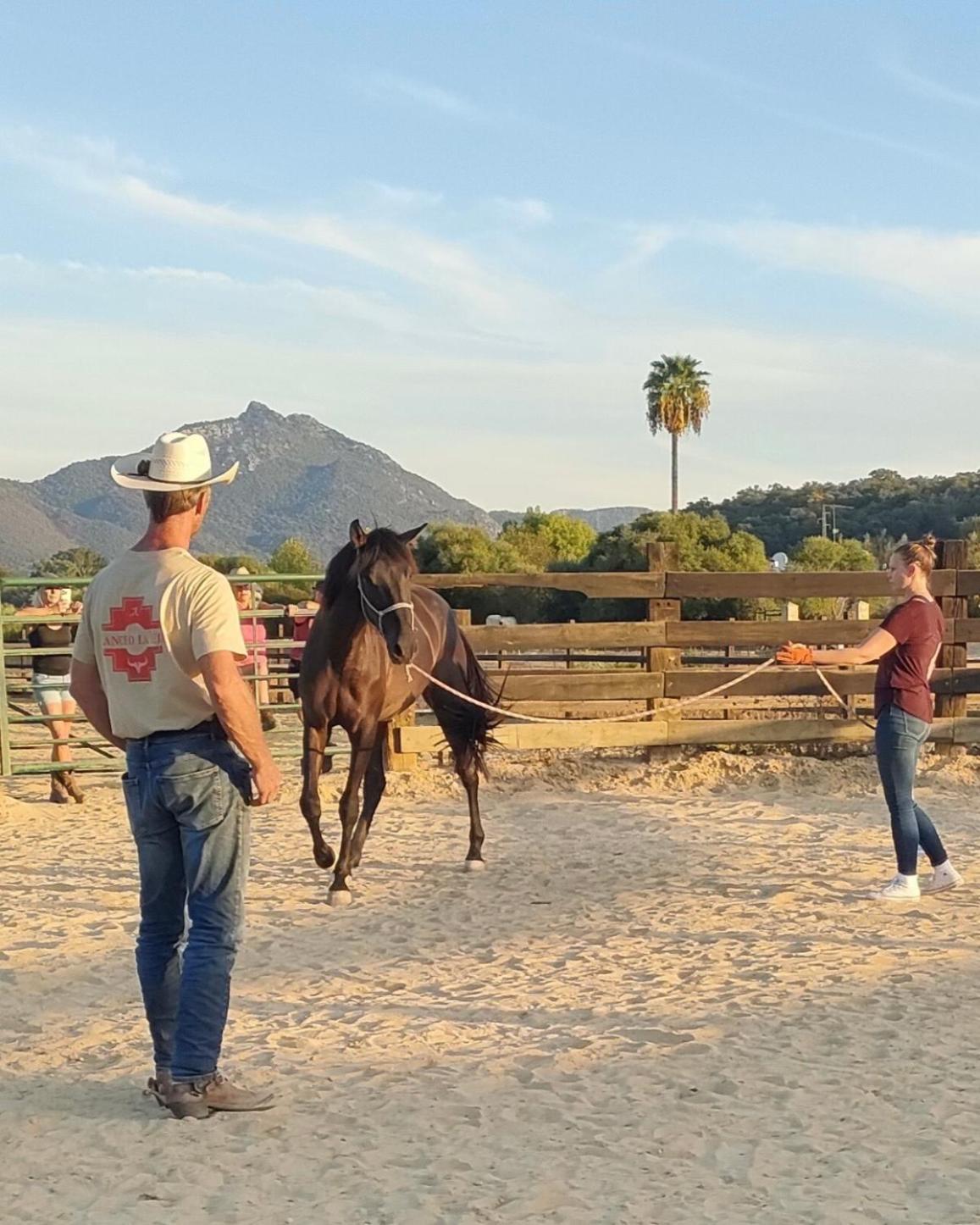 Cabana Rustica En Un Rancho Con Caballos, Prado Del Rey, Andalucia Экстерьер фото