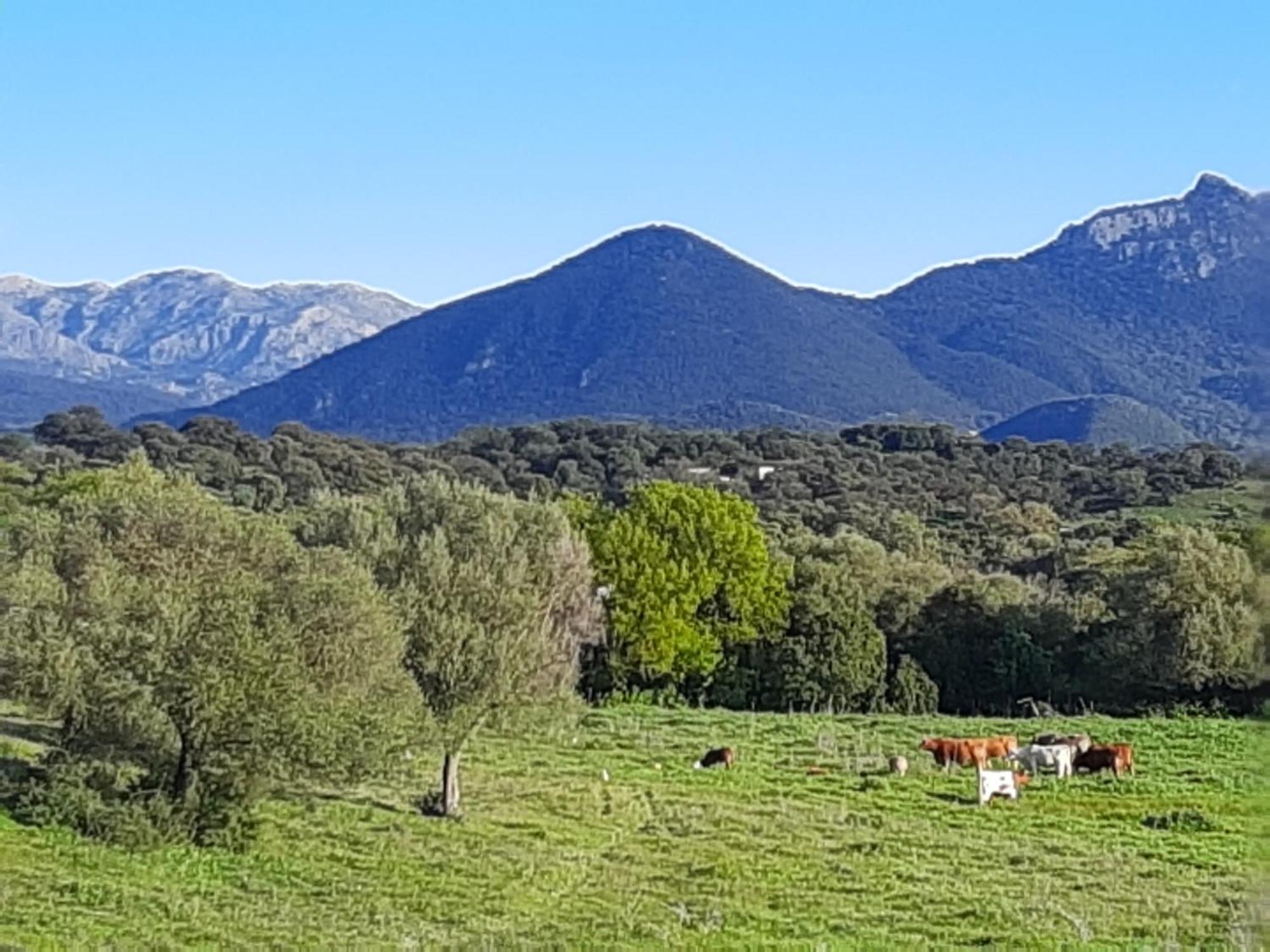 Cabana Rustica En Un Rancho Con Caballos, Prado Del Rey, Andalucia Экстерьер фото