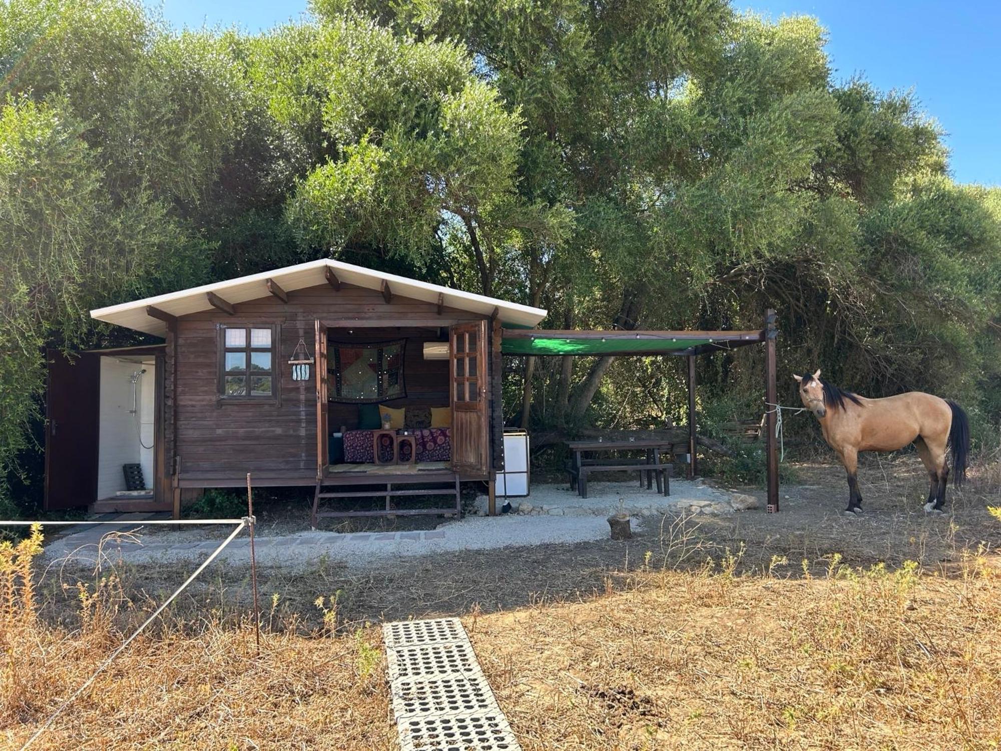 Cabana Rustica En Un Rancho Con Caballos, Prado Del Rey, Andalucia Экстерьер фото