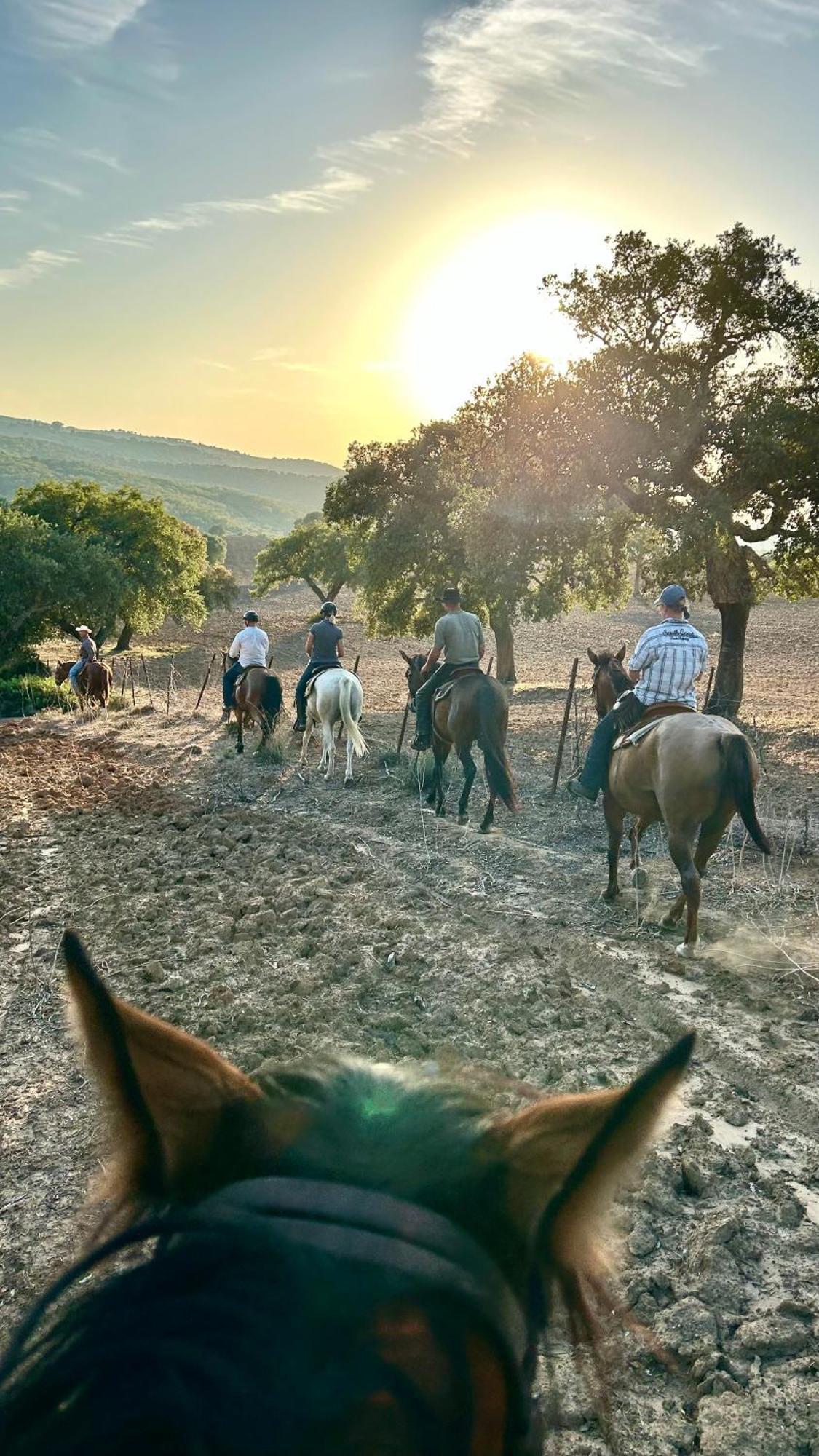 Cabana Rustica En Un Rancho Con Caballos, Prado Del Rey, Andalucia Экстерьер фото